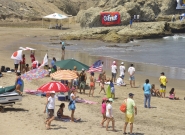 Lifestyle. Credit: ISA/Michael Tweddle