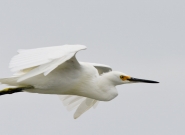 Lifestyle. Credit: ISA/Michael Tweddle