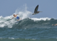 Free Surf. Credit: ISA / Michael Tweddle