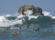 Free Surf. Credit: ISA / Michael Tweddle