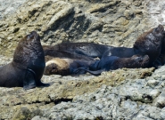 Credit: ISA / Michael Tweddle