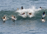 Credit: ISA / Michael Tweddle