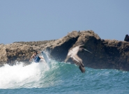 Free Surf. Credit: ISA / Rommel Gonzales