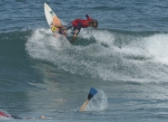 Credit: ISA/Michael Tweddle Credit: ISA/Michael Tweddle