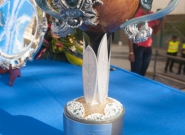 Aloha Cup. Credit: ISA/Rommel Gonzales Aloha Cup. Credit: ISA/Rommel Gonzales