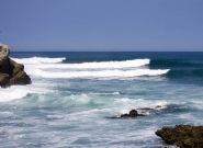 La FAE beach lineup. Credit: ISA / Billy Watts