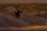 free_surfing08_rommel_gonzales